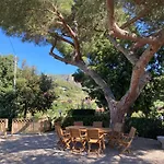 San Cerbone Daire