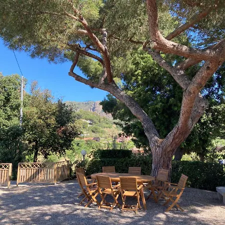 San Cerbone Apartman