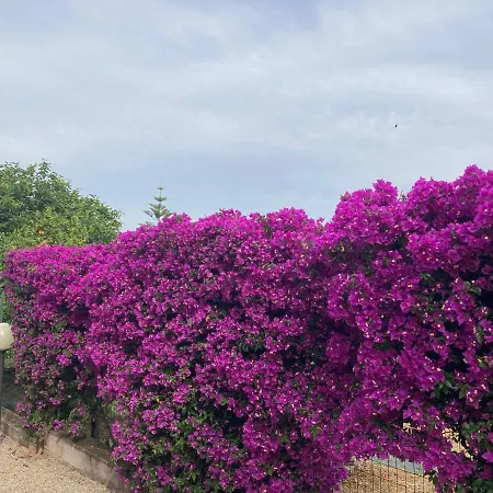 Apartman San Cerbone