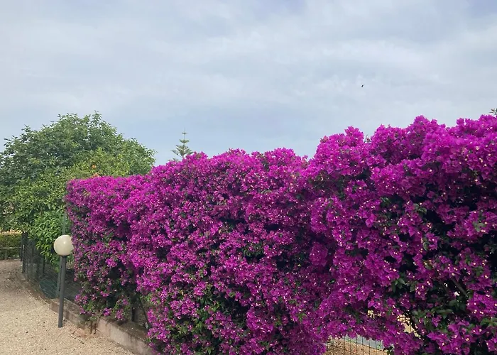 Апартаменты San Cerbone